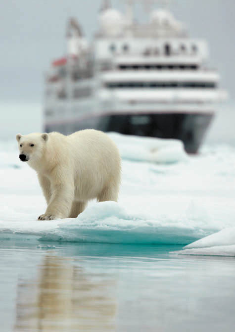 POLAR BEARS SVALBARD CRUCEROS DE LUJO POLO NORTE